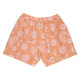Santa Cruz Γυναικείο σορτς Take A Trip Shorts